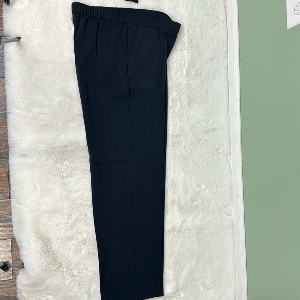 NWT Briggs navy dress pants, 10 S